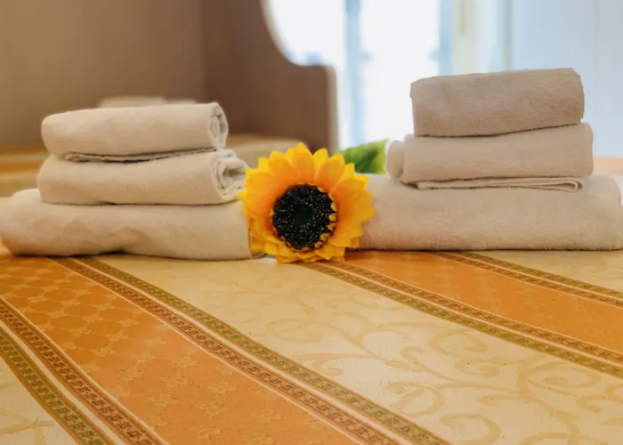 Hotel Villa Madana 2* 리미니